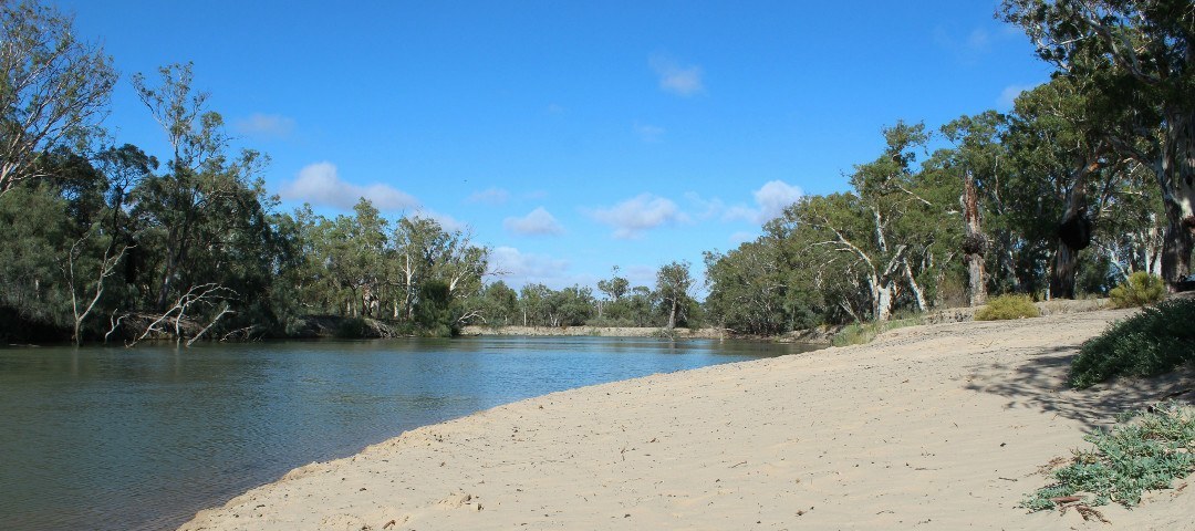  Murray River National Park 