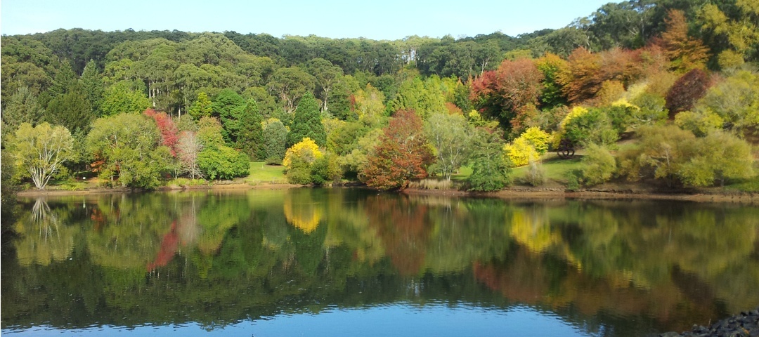 How To Make The Most Of The Autumn Colours Of Mount Lofty Botanic