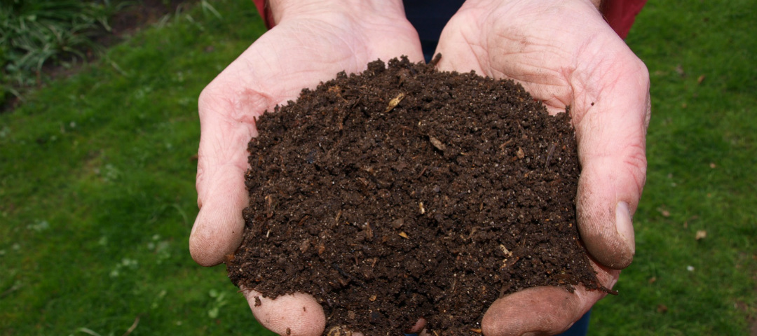 A beginner’s guide to composting - Good Living