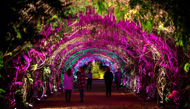 Department for Environment and Water | Adelaide Botanic Garden lights